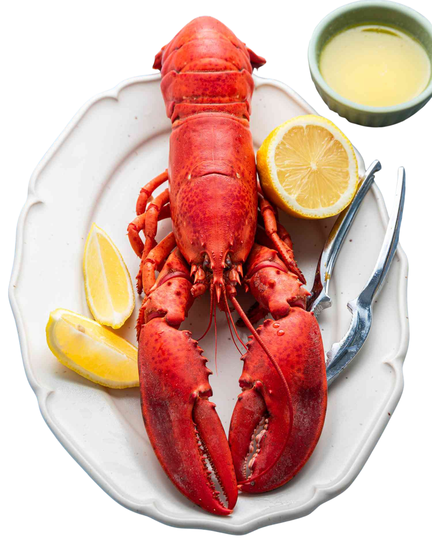 Grilled Shrimps